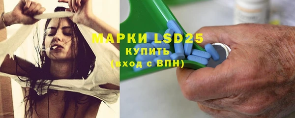 индика Баксан