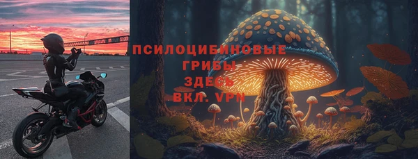 индика Баксан