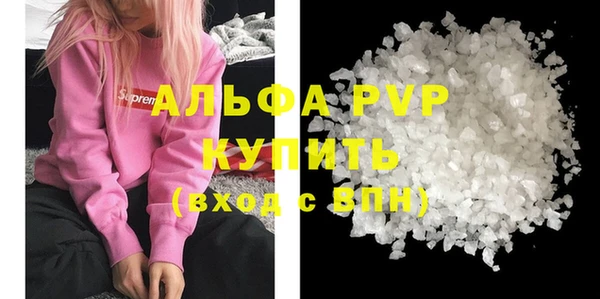 индика Баксан
