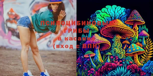 индика Баксан